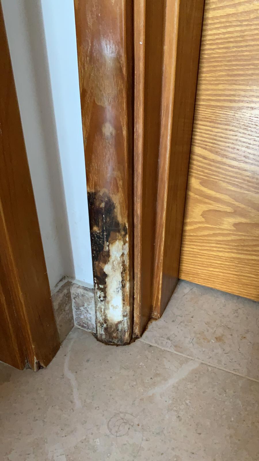 Wooden Door frame damage by Termites